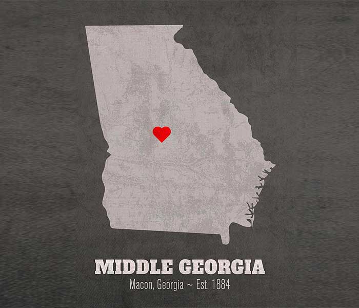 Painting Services In Middle Georgia Area